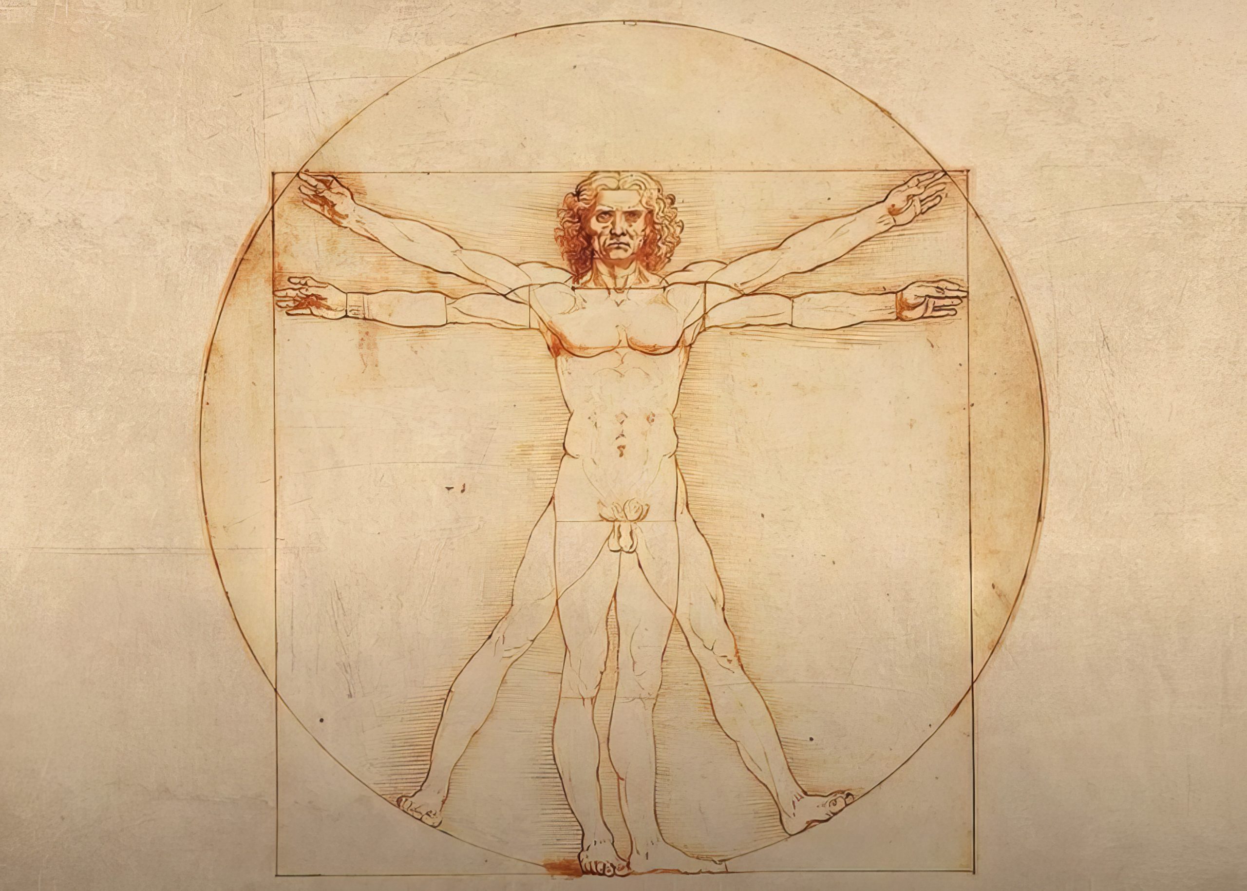 Как называется человек леонардо да винчи. Человек Леонардо да Винчи. Vitruvian man Леонардо да Винчи. Картина Витрувианский человек Леонардо да. Витрувианская женщина Леонардо да Винчи.